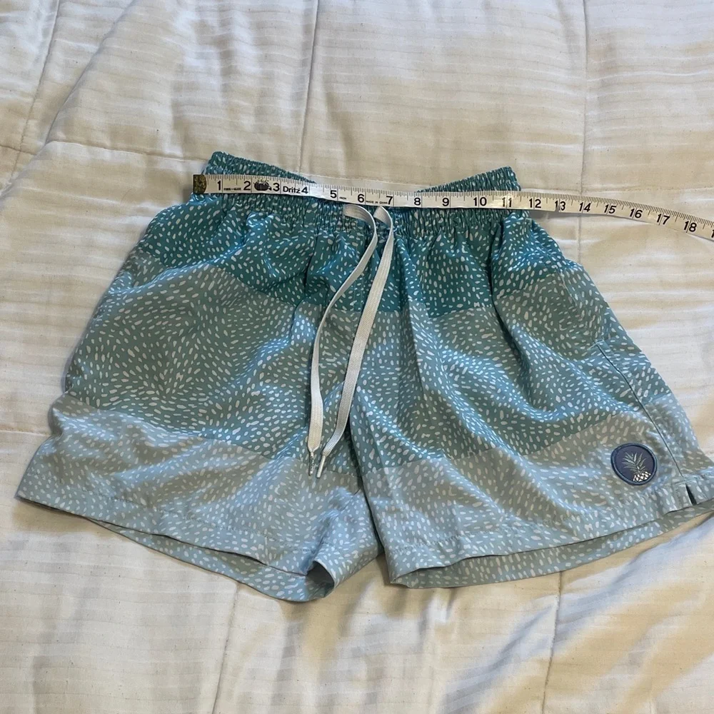 Chubbies Teal and White Patterned Men's Shorts 5.5 inseam